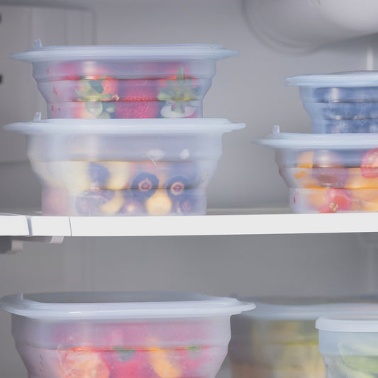 FridgeX Rectangular Storage Containers